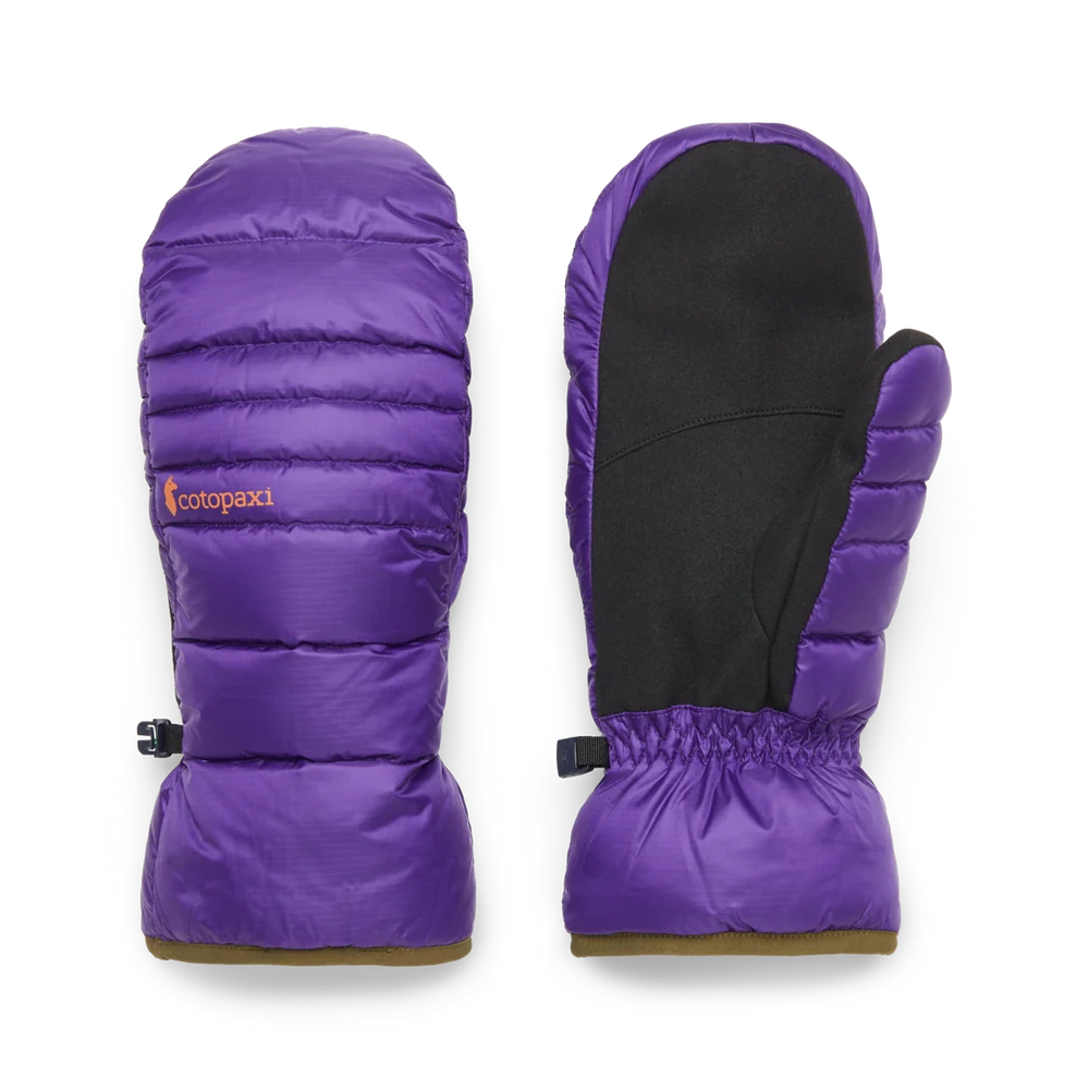 Black Violet