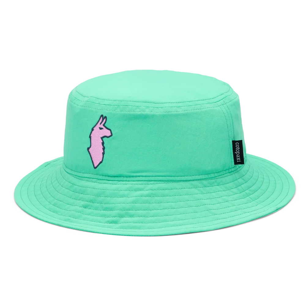 Parakeet