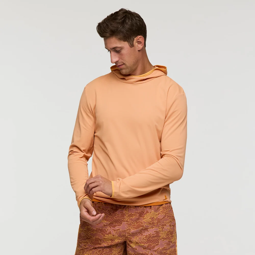 Apricot
