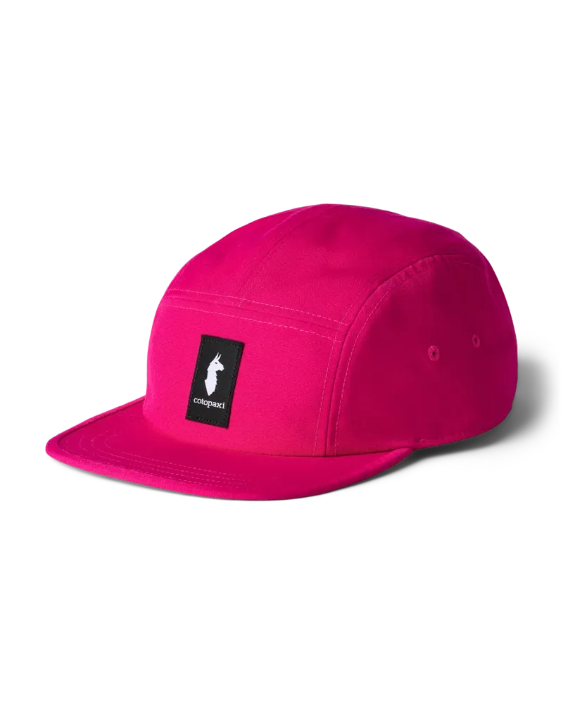 Pitaya